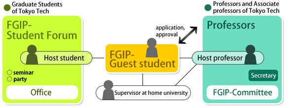 Scheme of FGIP
